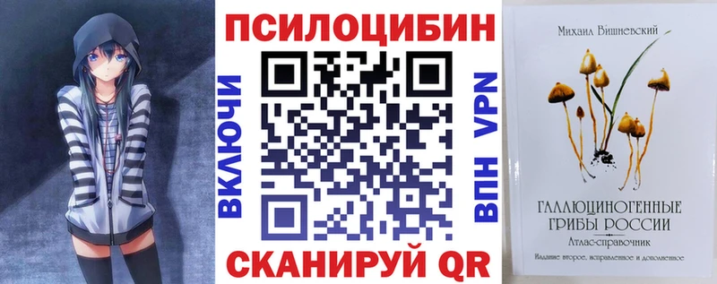 мега ссылки  Верхнеуральск  Псилоцибиновые грибы Psilocybine cubensis 