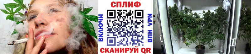 Конопля марихуана  купить наркоту  Верхнеуральск 